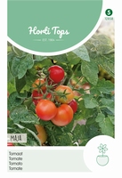 Tomaten Maja -Balkontomaat
