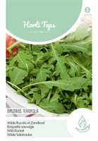 Rucola Wilde Selvatica (Diplotaxis Erucoides)