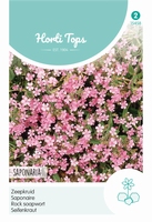 Saponaria Ocymoides (Zeepkruid) Rose