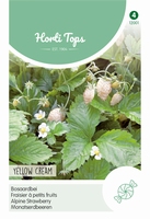 Aardbeien Yellow Cream