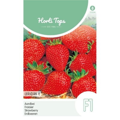 Aardbeien Sarian F1 / Grandian F1 hybride