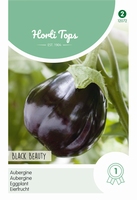 Aubergine Black Beauty NIEUW