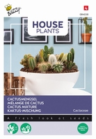 Cactus Mengsel van vele soorten, Ferocactus wislizeni
