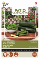 Courgette Patio Star F1 Patio Veggie - NIEUW