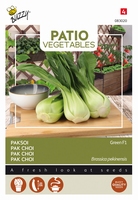 Pak Choi Green Patio Veggie - NIEUW