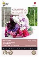 Colorful Bouquets, Royal Family (lathyrus)  NIEUW