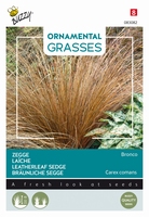 Siergras Ornamental Grasses, Carex comans 'Bronco' NIEUW