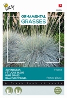 Siergras Ornamental Grasses, Festuca glauca 'Blaue Auslese' NIEUW