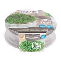 Kiemgroente Rooster kweekset  BIO organic