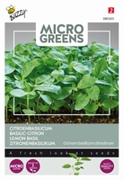 Microgreens Citroenbasilicum    NIEUW